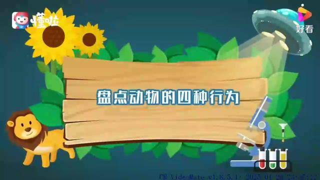 波尔图巨龙崛起，欧冠冠军的辉煌历史